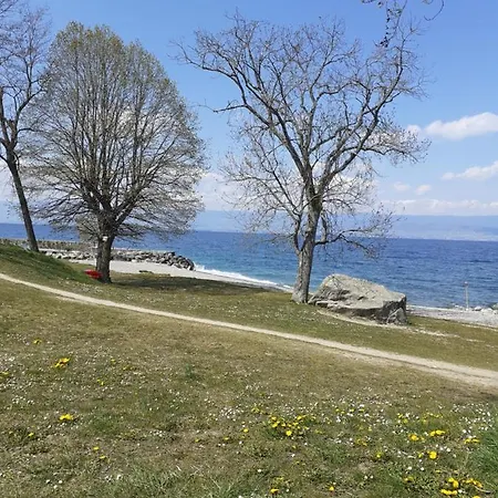 A 150 M Des Thermes Et Du Centre * Thonon-les-Bains