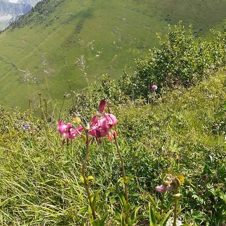 A 150 M Des Thermes Et Du Centre *